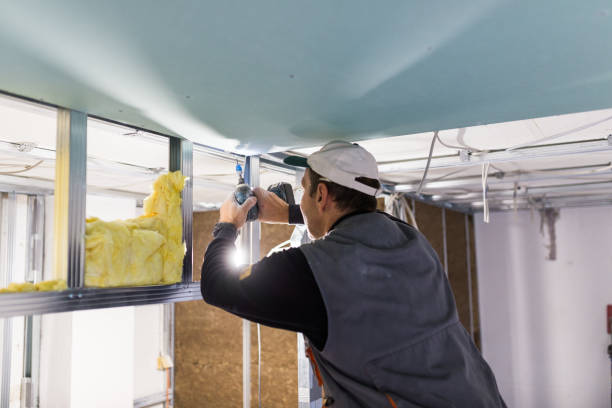 Types of Insulation We Offer in Lockport Heights, IL